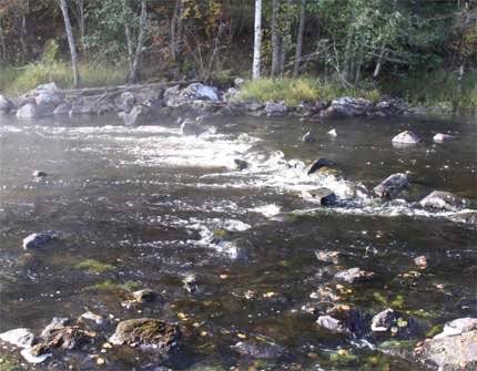 Häljbodaforsen