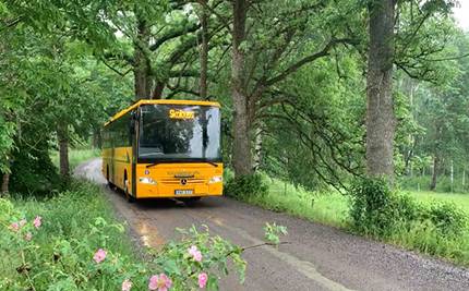 Skolbuss på grusväg, nyponblommor i vägkanten