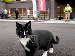 Mycket folk och en katt på invigningen