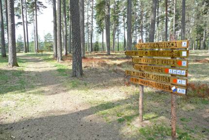 Elljusspår vid Tallmon i Charlottenberg
